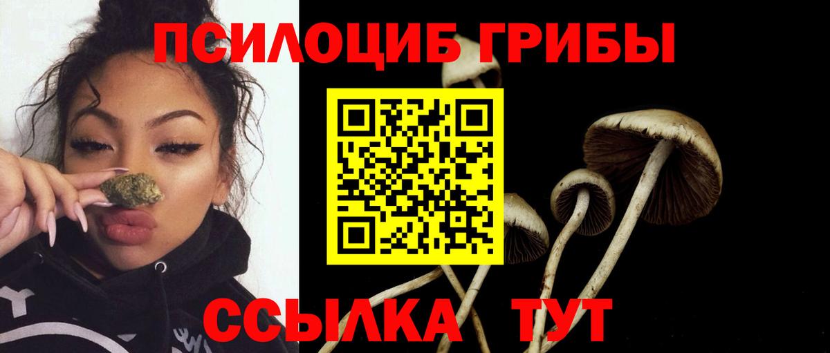 Чебоксары  Галлюциногенные грибы Magic Shrooms  Вход с VPN  Псилоцибиновые грибы ЛСД 